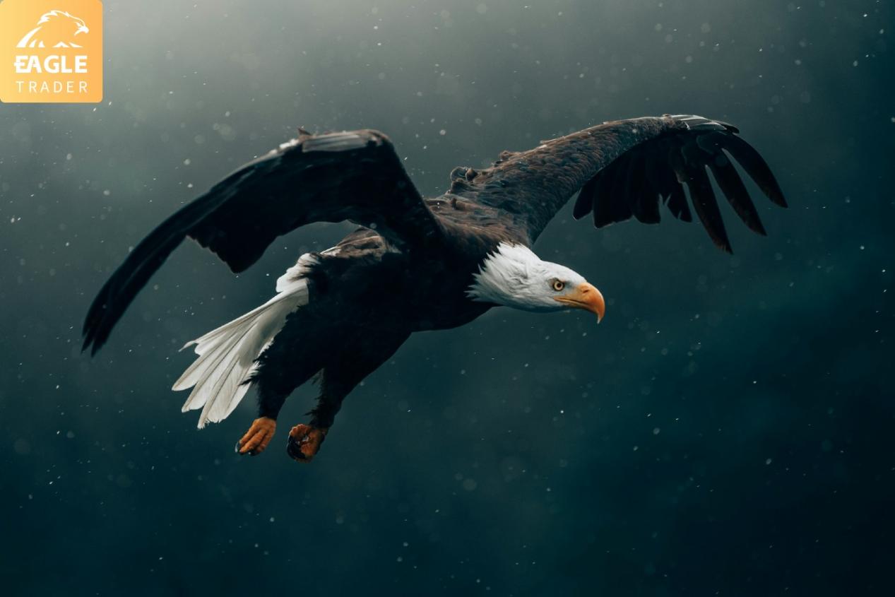�Ϸʹ����Ͷ��